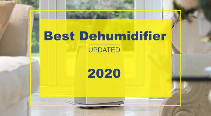 best dehumidifiers